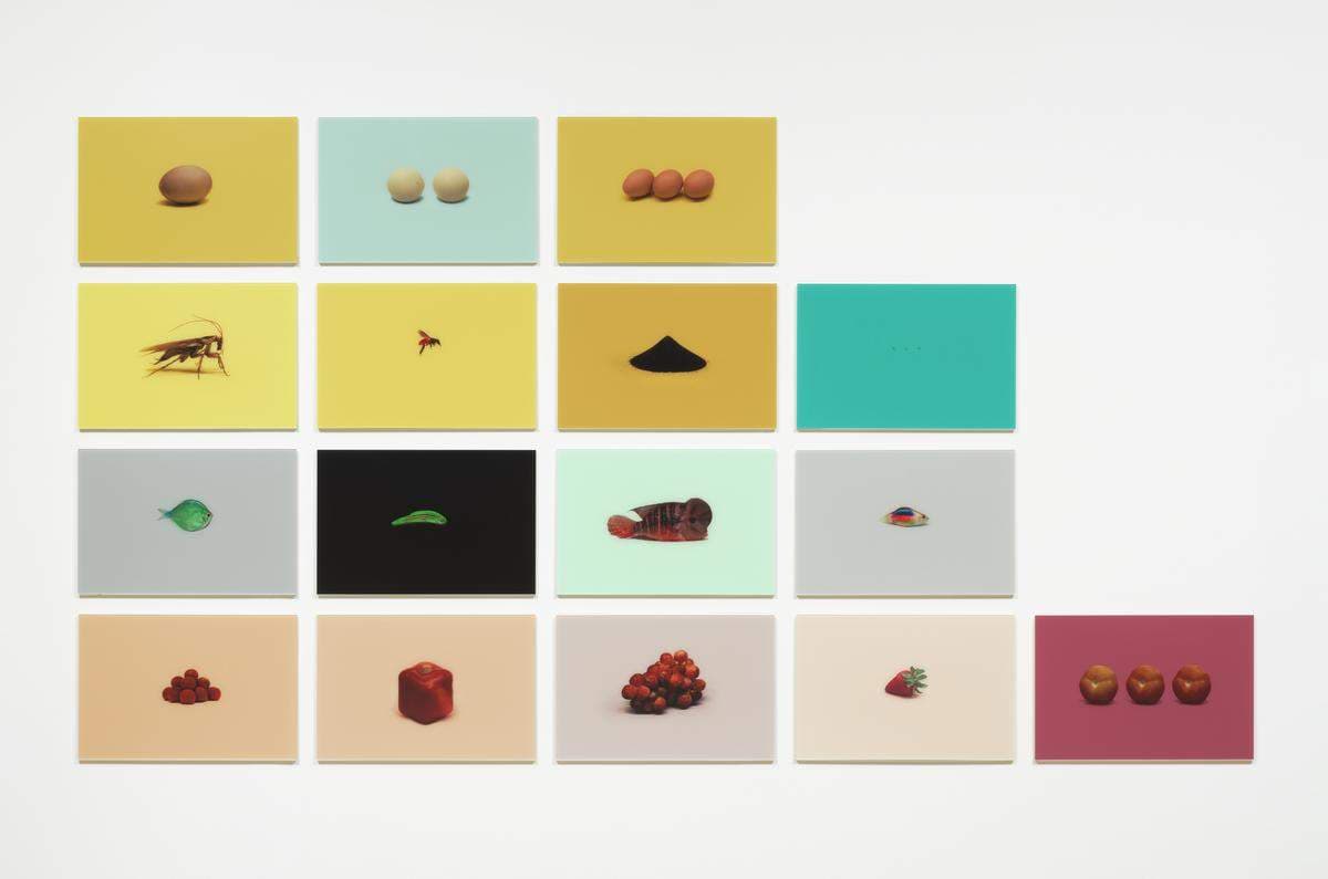 Studies on colour and form reference